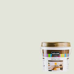 KOLOR - Pintura Deluxe Blanco Ostra 1GL