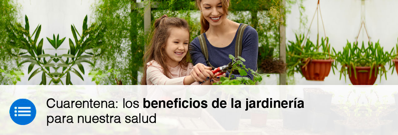 Deco Jardín, decoración y herramientas | Sodimac