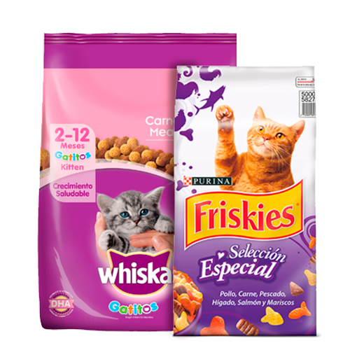 Alimentos para gatos
