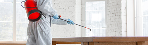 Servicio de desinfección 0 - 80 m2
