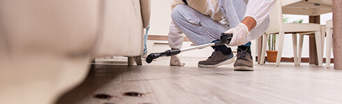 Servicio de desinfección 121 - 160 m2